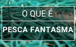 pesca-fantasma
