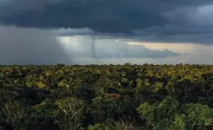 Nuvem de chuva sobre trecho de floresta no estado do Amazonas