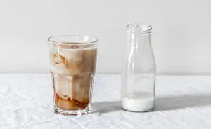 leite de castanha de caju