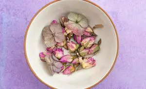 Óleo de rosa-mosqueta