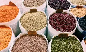 fontes-de-proteina-vegetal