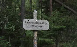 Restauração Florestal