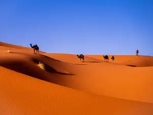 deserto do Saara