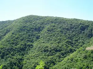 Reserva Particular do Patrimônio Natural