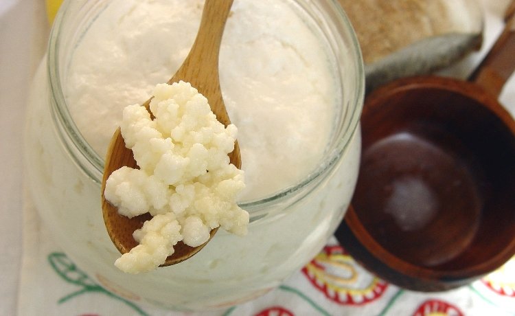 Kefir de leite