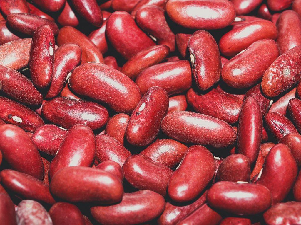 Alimentos ricos em fibras