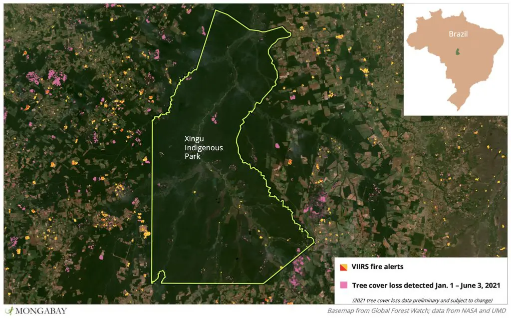 Parque Indígena do Xingu