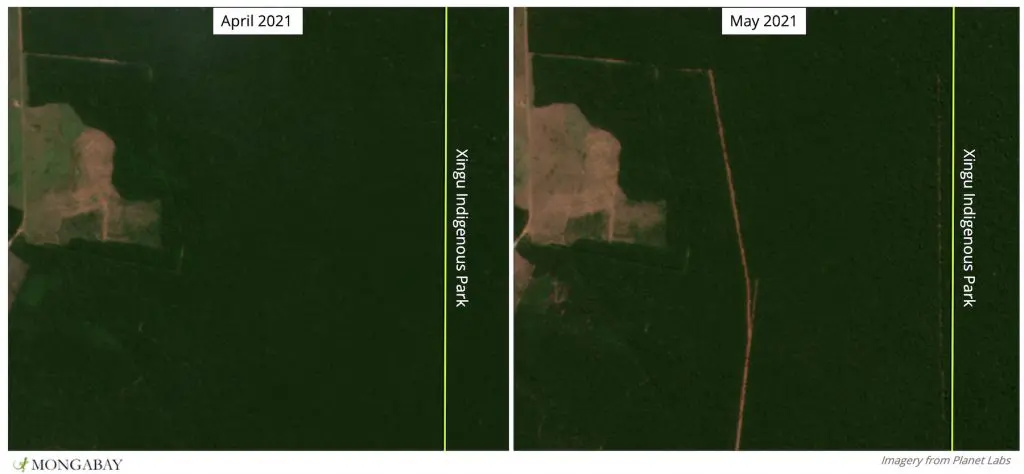 Imagem de satélite mostra Parque Indígena do Xingu