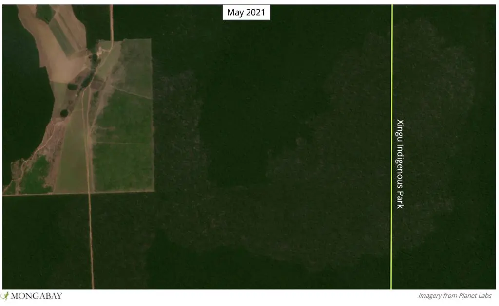 Parque Indígena do Xingu em 2020