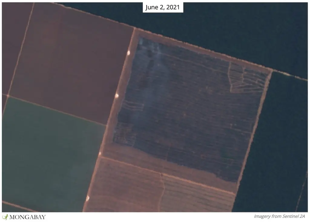 Parque Indígena do Xingu no início de junho de 2021`