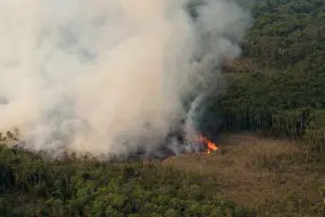 incêndio no Xingu
