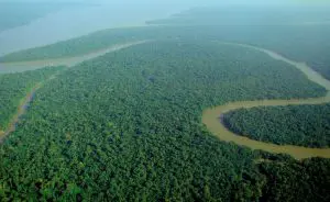 Amazônia