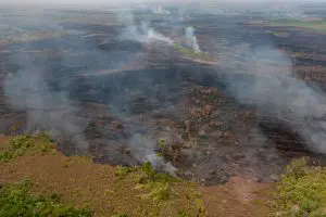 Brigadistas do Prevfogo/Ibama participam de operação conjunta para combater incêndios na Amazônia