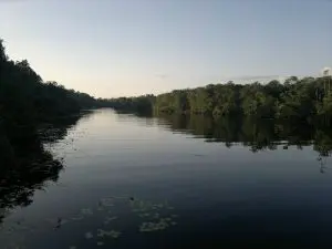 Amazônia