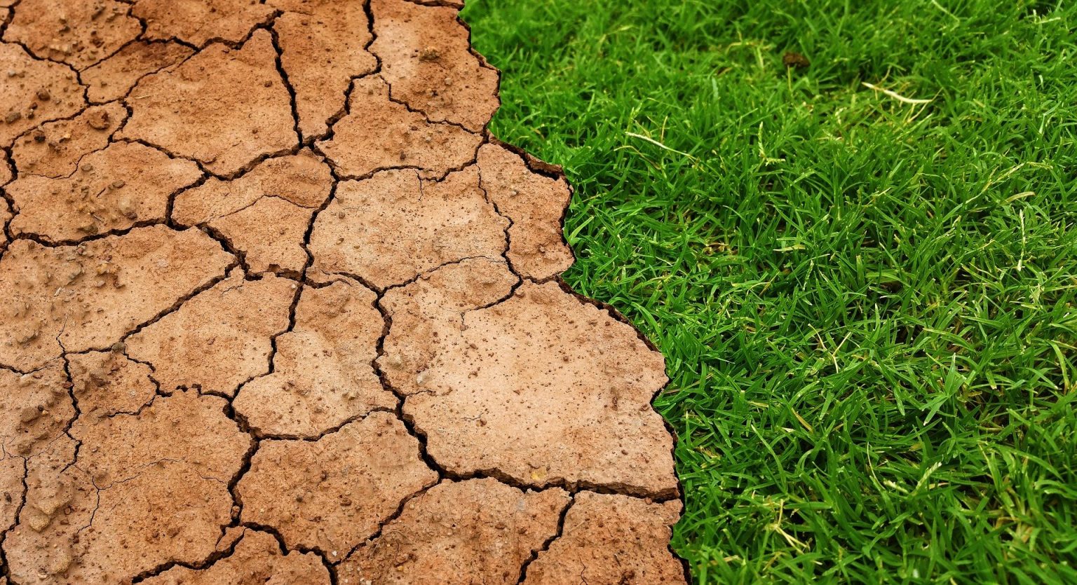 O que é degradação do solo, causas e como evitar? - eCycle