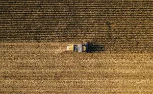 Máquina agrícola em um campo de plantação
