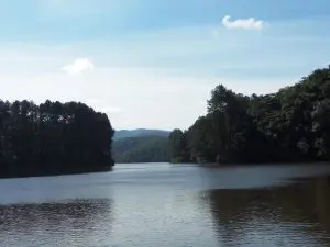 Reserva da Cantareira