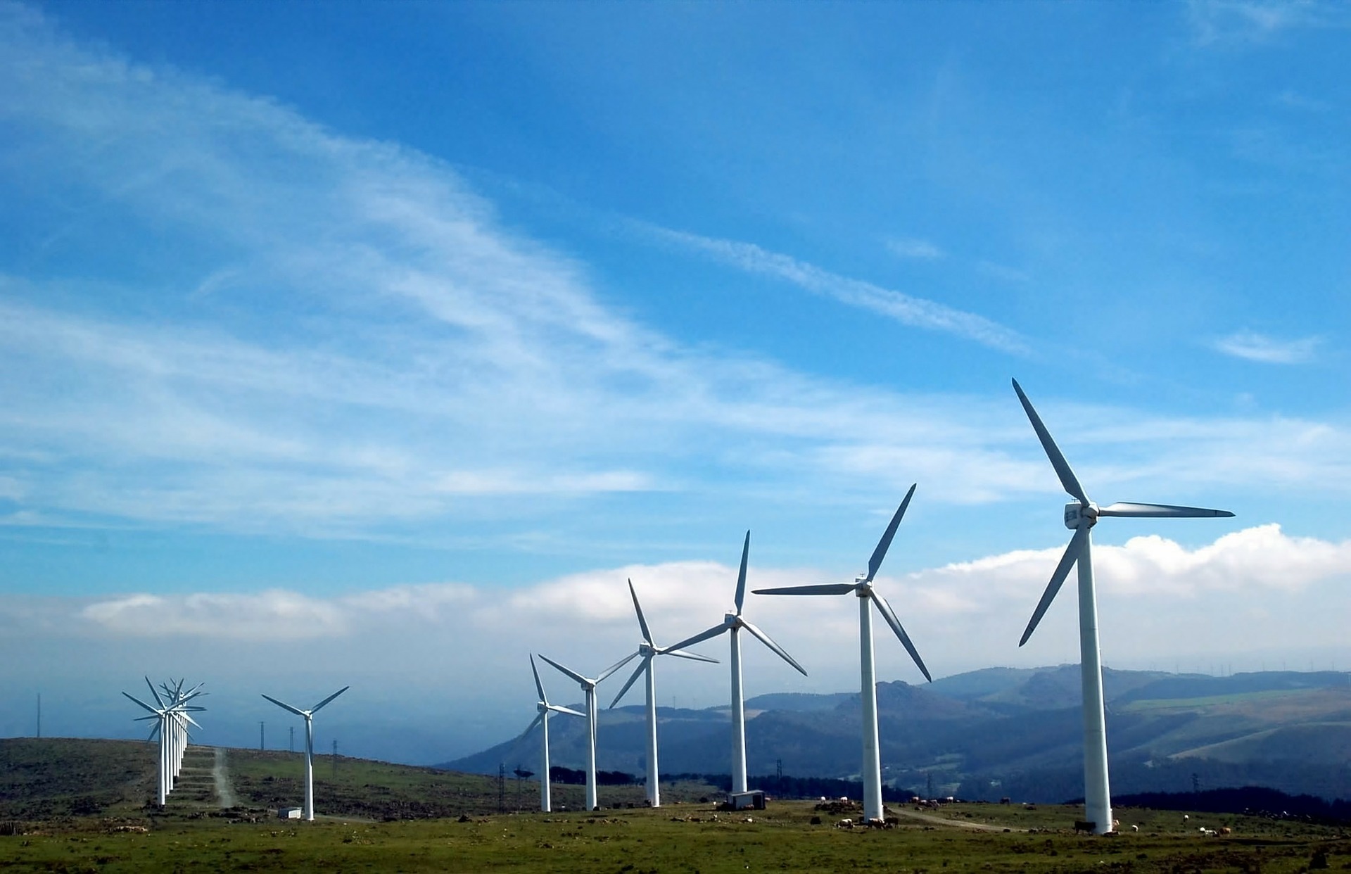 Energia eólica transforma o vento em energia útil: veja como funciona