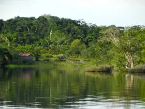 Amazônia