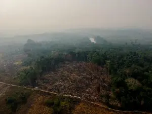 Desmatamento na Amazônia