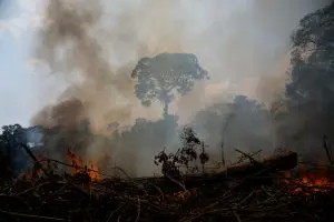 Queimadas na Amazônia