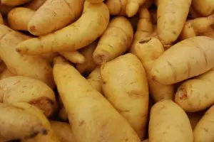 batata-baroa