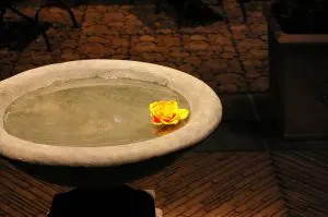 Banho de assento para candidíase