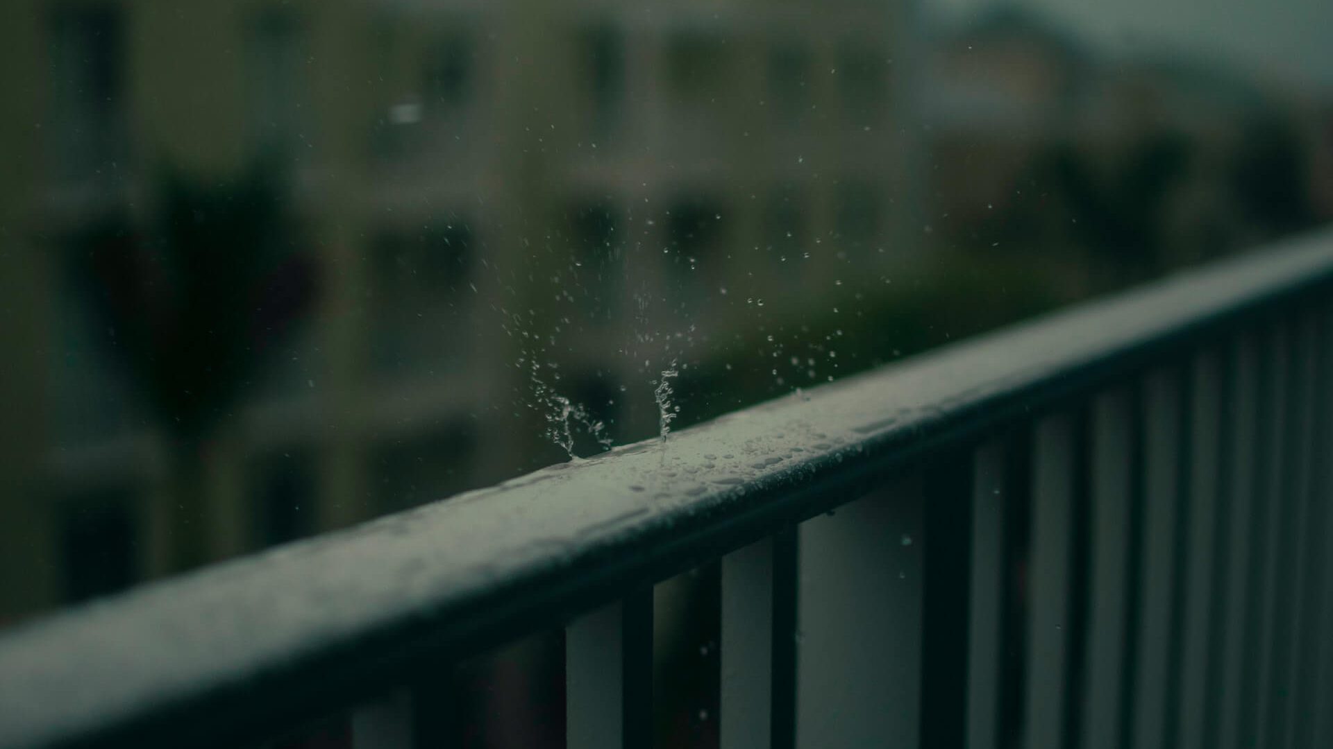 Gotas de água de chuva
