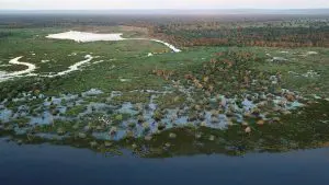 Pantanal
