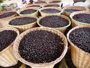 Açaí