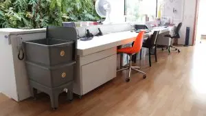 Recebi minha composteira doméstica