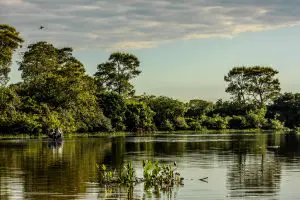 Parque Nacional do Pantanal