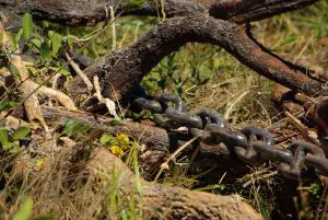 Desmatamento com correntão