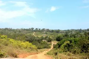 Reserva Extrativista Chico Mendes