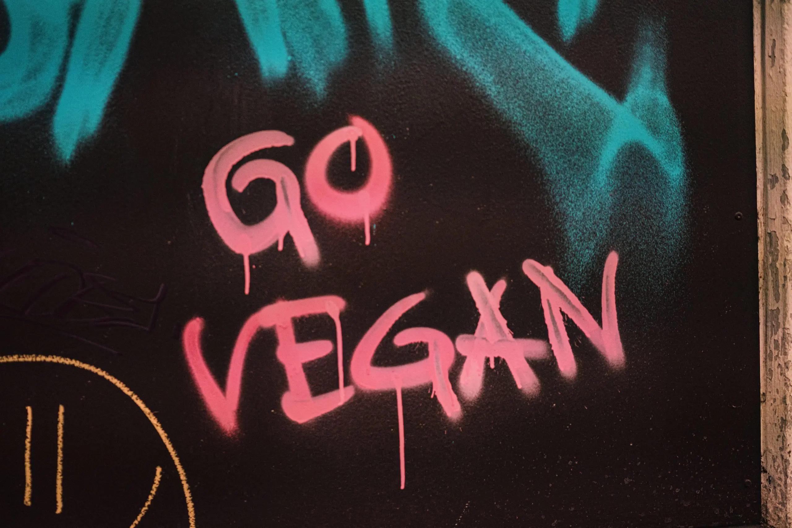 Vegan pelos animais, pelo planeta, pela vida! <3