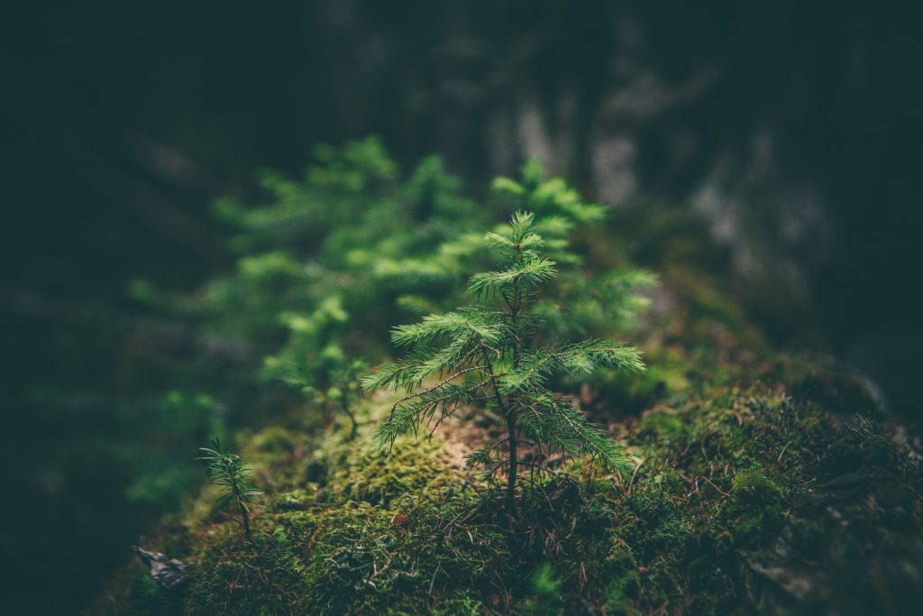 O que eu posso fazer contra as mudanças climáticas