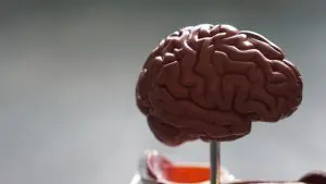 estimulação cerebral profunda