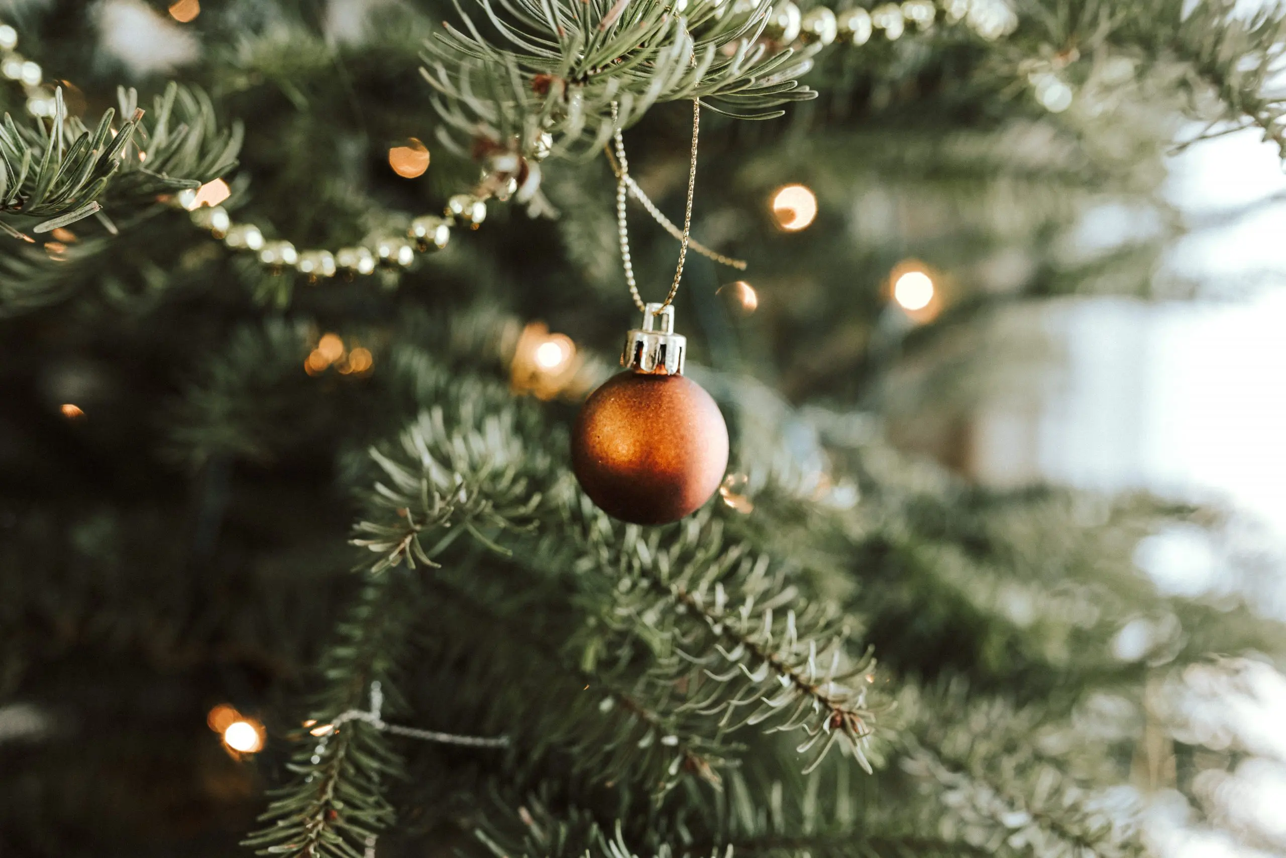 Cinco ideias geniais e sustentáveis de árvore de Natal - eCycle