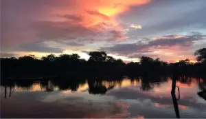 Nascer do Sol no Cerrado