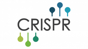 CRISPR-Cas