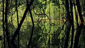 052-055_metano_312-0-1140