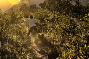 Comunidades tradicionais