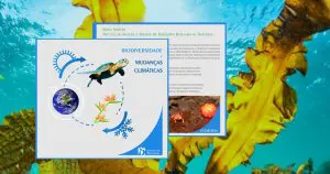 20220221_00_serie_ib_e_a_sociedade