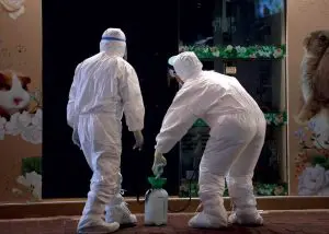 022-023_covid_animais_313-0-1140