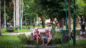 SITE_ArvoresPara-0-1140