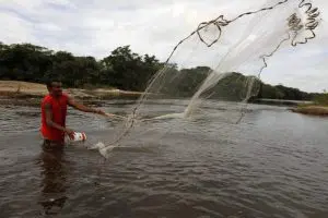 img201608011025353753593-768x512