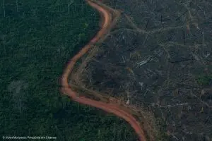 Amazônia-em-chamas-sobrevoo-estrada-fronteira-floresta-Victor-Moriyama-Amazônia-em-Chamas