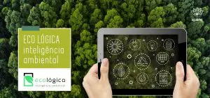 Eco Lógica Software