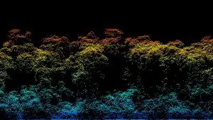 SITE_Ecologia-0-1140