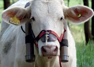 028-037_capa_pecuaria-baixo-carbono_314-4-1140